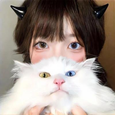 竞选风云